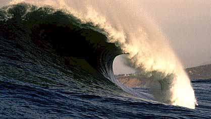 Mavericks  - Photo copyright Doug Acton